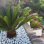 Rosa Holiday home