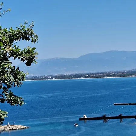 Rosa Agropoli