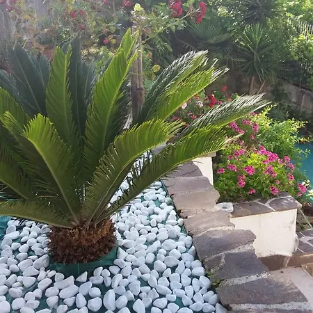 Rosa Hébergement de vacances